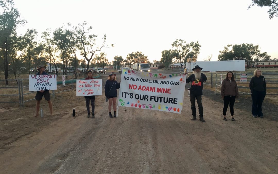 20 people disrupt work on Adani mine to protect water