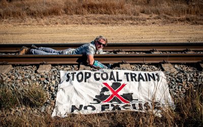 Coal exports stopped from Adani’s Abbot Pt coal terminal